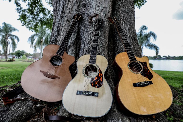 Trio of guitars against a tree